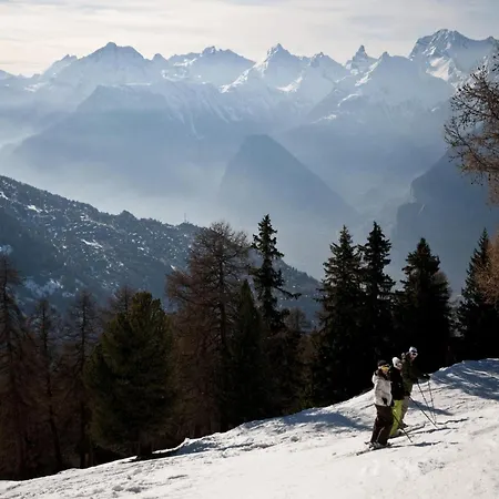 In Valais Near Cable Car * Veysonnaz