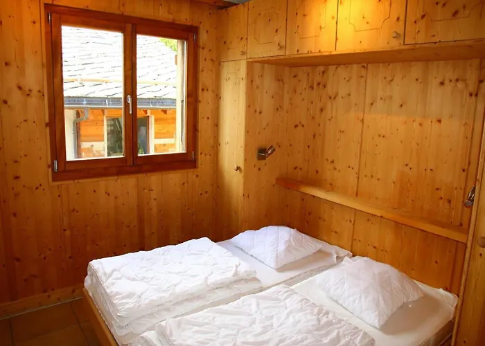 In Valais Near Cable Car 维松纳