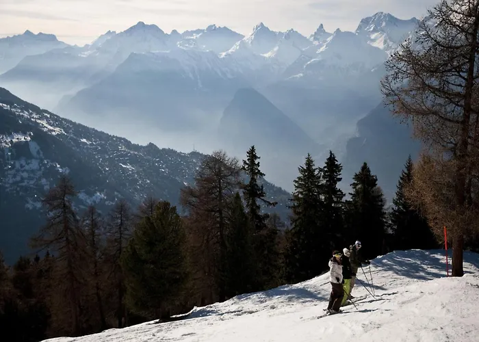 度假居 In Valais Near Cable Car 维松纳