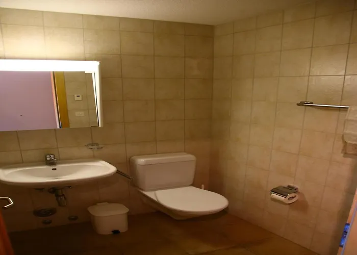 In Valais Near Cable Car 维松纳